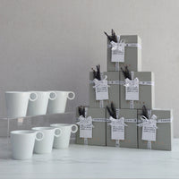 Everyday Cup Giveaways