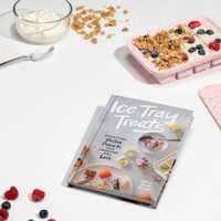 Ice Tray Treats Book