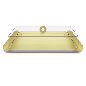 Gold Metal Tray with cover
