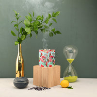 مبخر تروبيكال