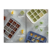 Ice Tray Treats Book