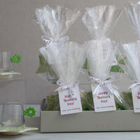 Star Line Coffee Set
