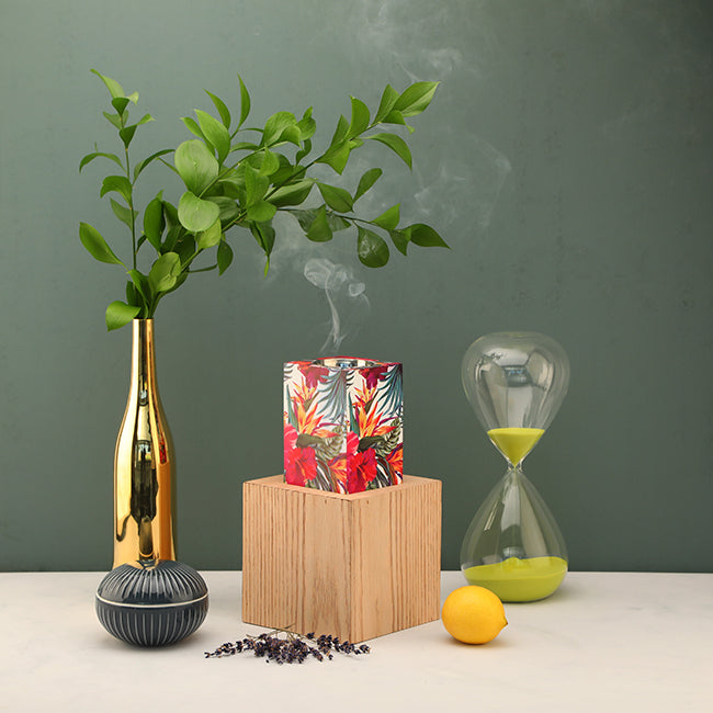 مبخر تروبيكال