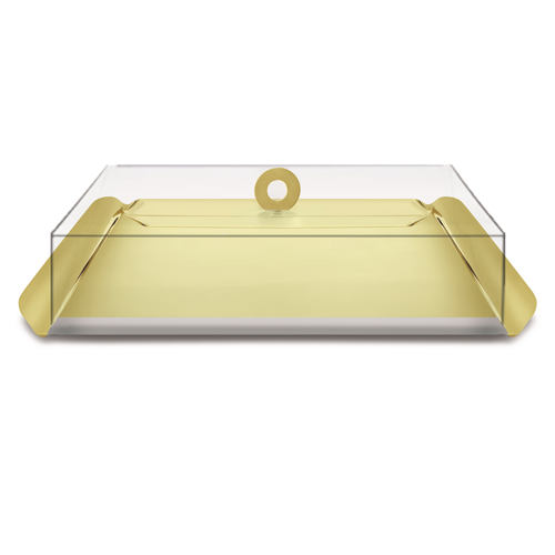Gold Metal Tray with cover