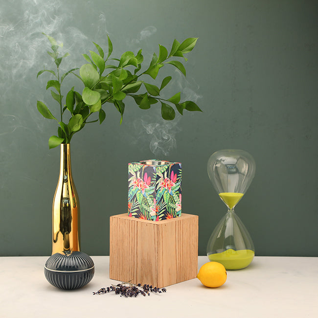 مبخر تروبيكال