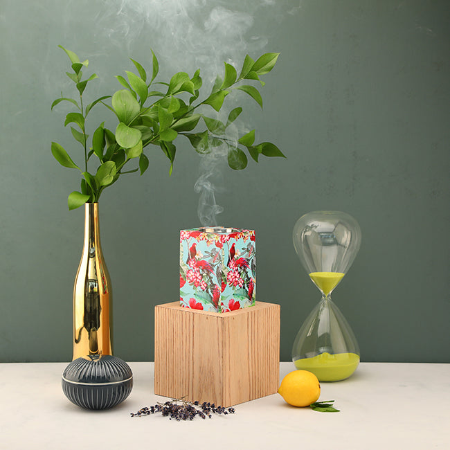 مبخر تروبيكال